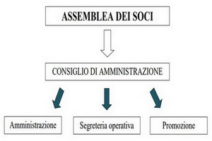 Organigramma della Società Mutua Piemonte